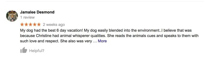 Christines Pet Care Reviews